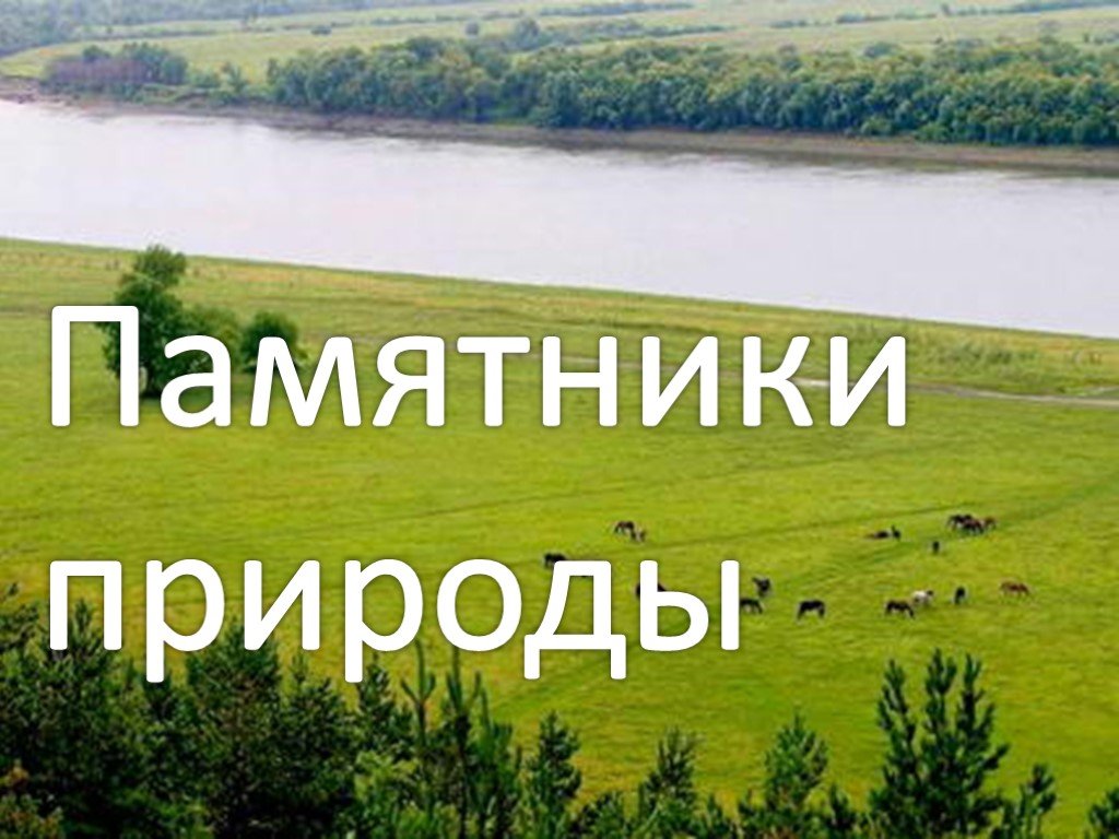 В Ленинградской области установят границы трех памятников природы